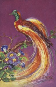 Tropisk eller eksotisk fugl. av European School